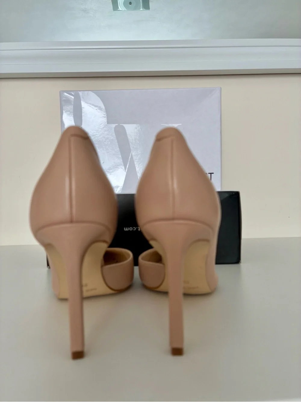 Women's Pointed-Toe High Heel Pump in Nude